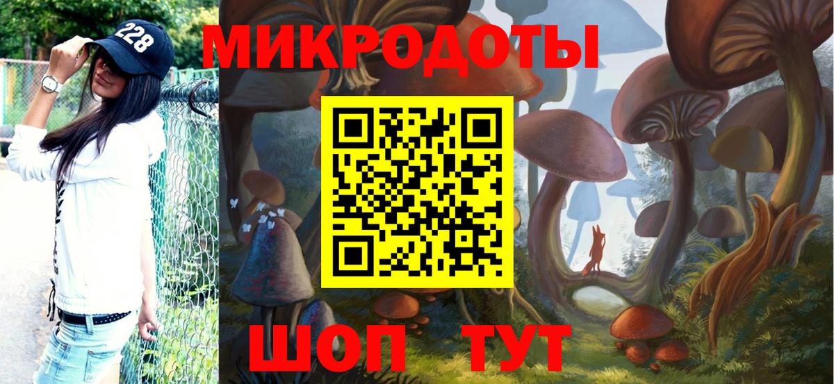 Брянск  Псилоцибиновые грибы Cubensis  Вход с VPN 
