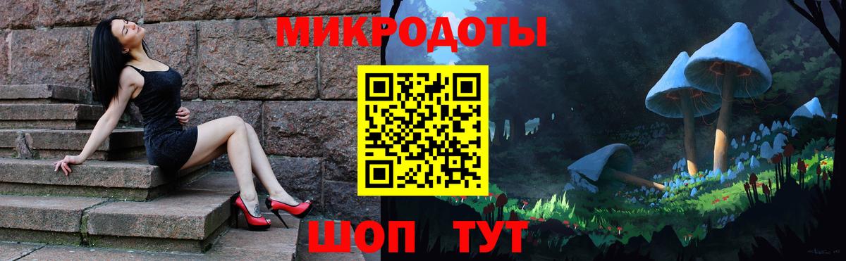Псилоцибиновые грибы Cubensis Брянск
